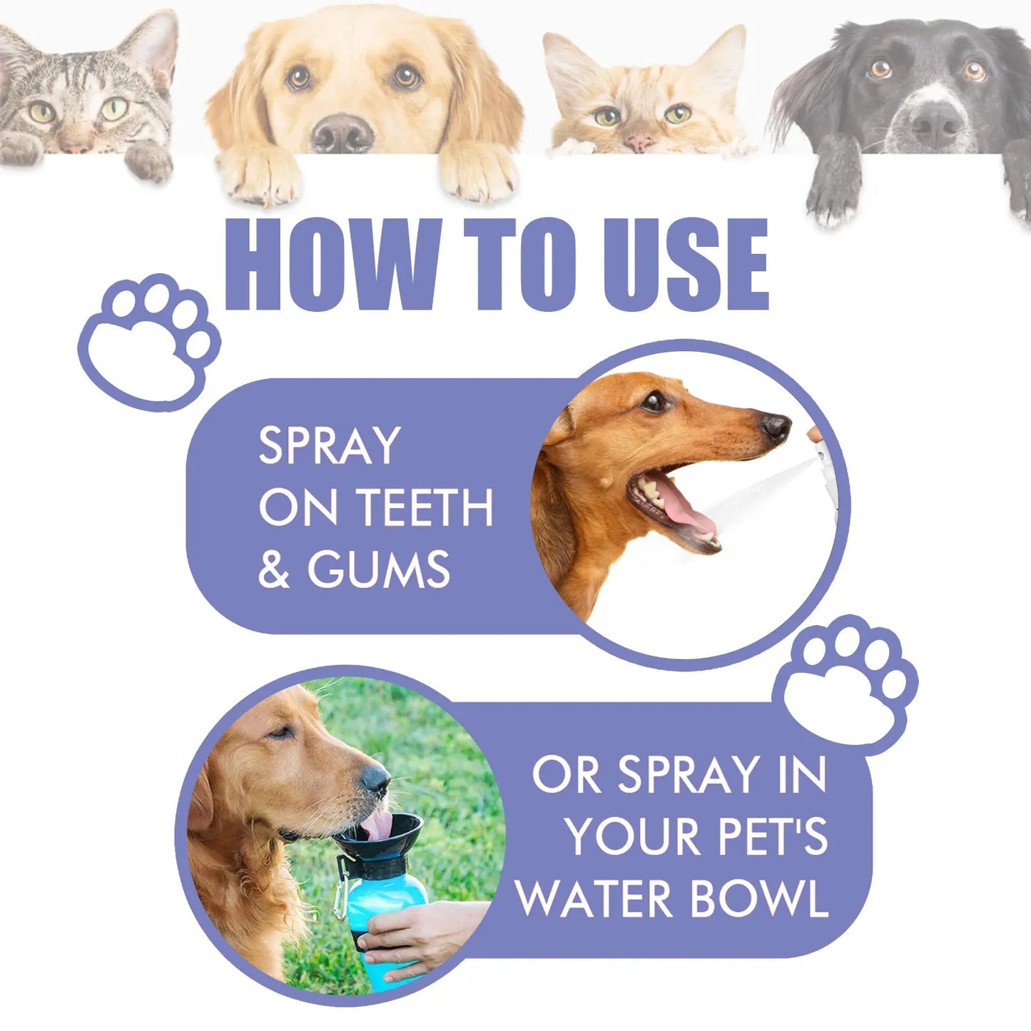 🍃NO BRUSHING oral care spray for dogs cats