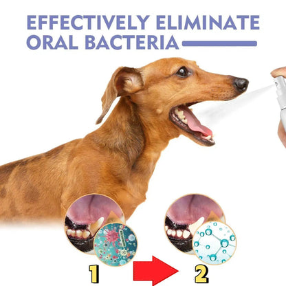 🍃NO BRUSHING oral care spray for dogs cats