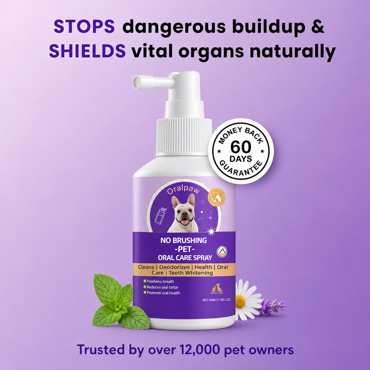 🍃NO BRUSHING oral care spray for dogs cats